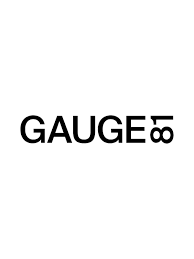 GAUGE81